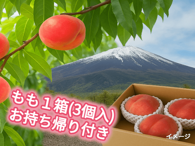 爽快！富士山麓ドライブ♪ 世界遺産「雲上の富士山五合目」散策♪旬のもも狩り園内食べ放題＆１箱お持ち帰り付！