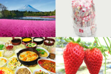 やまなしの春!関東最大級・芝桜の祭典「富士芝桜まつり」と大人気「桔梗信玄餅詰め放題」♪シーズンラスト☆完熟「いちご狩り」食べ放題にスイス&甲州郷土料理ビュッフェも!