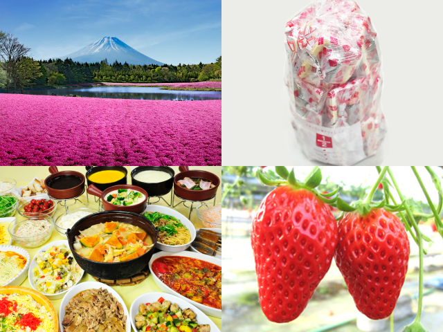 やまなしの春!関東最大級・芝桜の祭典「富士芝桜まつり」と大人気「桔梗信玄餅詰め放題」♪シーズンラスト☆完熟「いちご狩り」食べ放題にスイス&甲州郷土料理ビュッフェも!