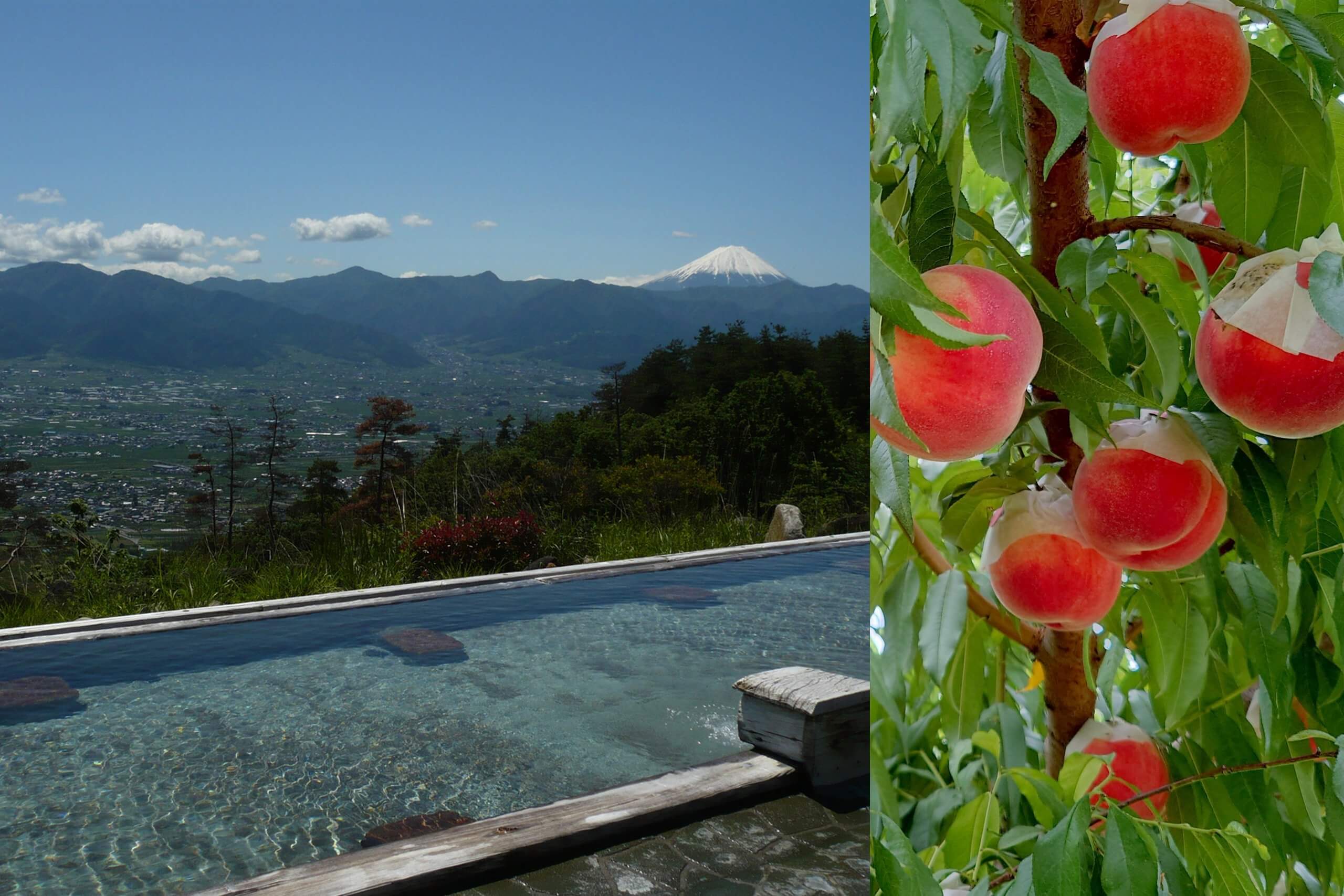 Hot！Summer♪　絶景露天風呂『ほったらかし温泉』と旬のフルーツ『もも狩り』園内食べ放題！