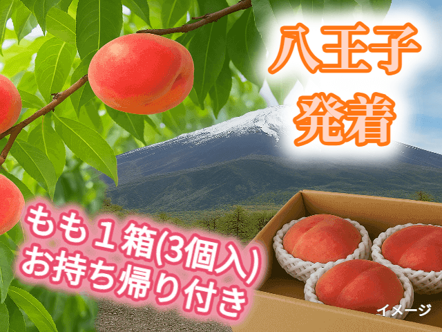 ＜八王子発＞爽快！富士山麓ドライブ♪ 世界遺産「雲上の富士山五合目」散策♪旬のもも狩り園内食べ放題＆１箱お持ち帰り付！