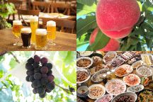 夏のベストセレクト！旬のフルーツ狩り食べ放題×ランチバイキング×クラフトビール飲み放題！富士の麓で咲き誇る花畑「山中湖花の都公園」で花鑑賞♪