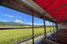 【博多発着】くまもっと夏旅!九州最大規模の骨格展示数を誇る「御船山恐竜博物館」と阿蘇の自然を感じながらバーベキュー&トロッコ列車