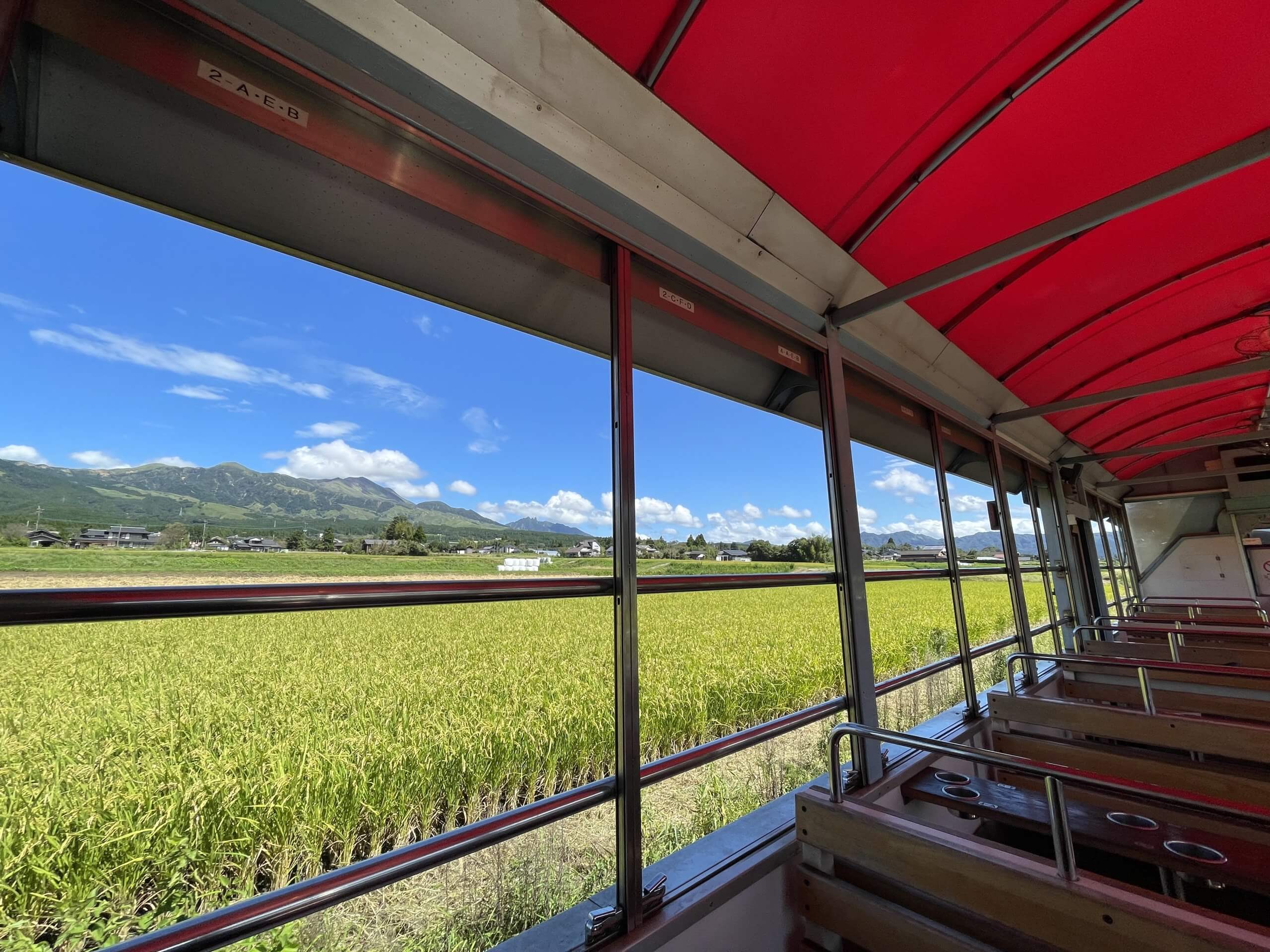 【博多発着】くまもっと夏旅！九州最大規模の骨格展示数を誇る「御船山恐竜博物館」と阿蘇の自然を感じながらバーベキュー＆トロッコ列車