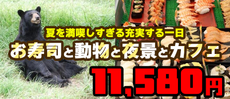 お寿司と動物と夜景とカフェ♪夏を満喫しすぎる充実する一日ツアー