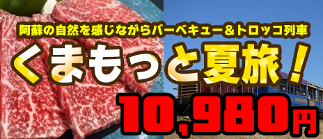 くまもっと夏旅！九州最大規模の骨格展示数を誇る「御船山恐竜博物館」と阿蘇の自然を感じながらバーベキュー＆トロッコ列車