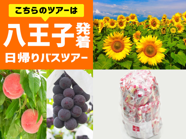＜八王子発＞やまなしの夏！圧巻の景色！咲き誇る「明野ひまわり畑」♪旬のフルーツ狩りも！ハイジの村スイス＆甲州郷土料理ビュッフェに《大人気》桔梗信玄餅の詰め放題♪