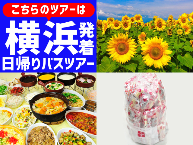 ＜横浜発＞夏空に咲く！ひまわり日和♪咲き誇る「明野ひまわり畑」とハイジの村スイス＆甲州郷土料理ビュッフェランチ＆《大人気》桔梗信玄餅の詰め放題♪
