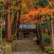 百済寺