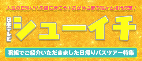 日本テレビ｜シューイチ　で紹介されたオススメ日帰りバスツアー