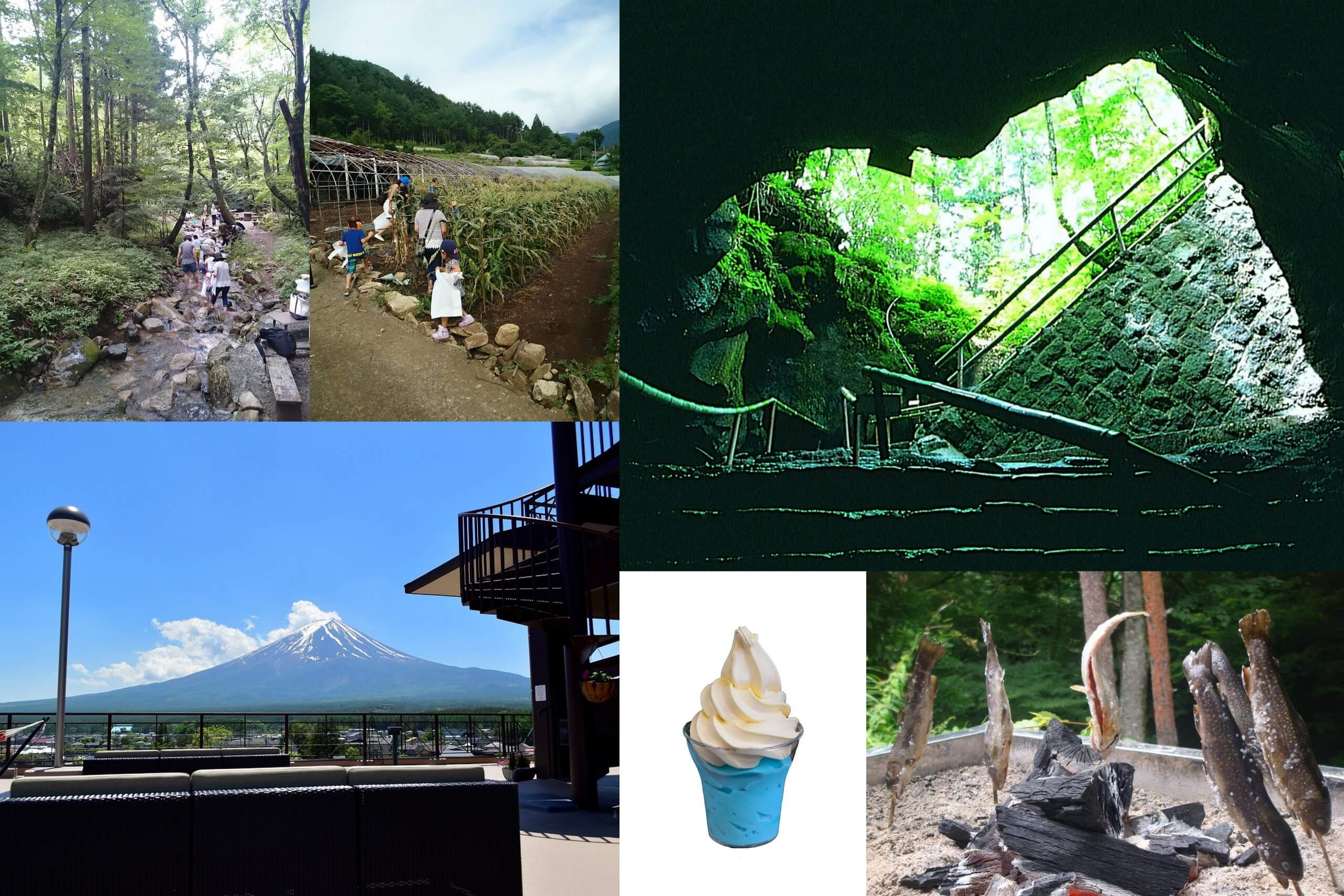 まだまだ暑い！？山梨ゆるっと涼旅体験♪富士山麓のひんやり洞窟プチ探検 × つめた～い川で魚のつかみ取り！トウモロコシ収穫体験＆濃厚ソフトクリームで、“夏のおわりのごほうび旅”へ