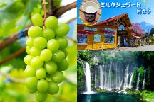 涼風を求めて！シャインマスカット狩り＆癒される涼景「白糸の滝」＆富士ミルクランド〈ミルクジェラート試食付〉＆箱根西麓豚の陶板御膳♪