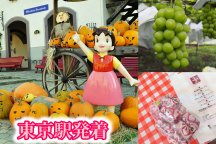 <東京駅発>【山梨】Trick or Treat!秋の花咲く庭園『ハイジの村ハロウィン祭り』と高級品種『シャインマスカット』狩り園内食べ放題&大人気!桔梗信玄餅の詰め放題♪
