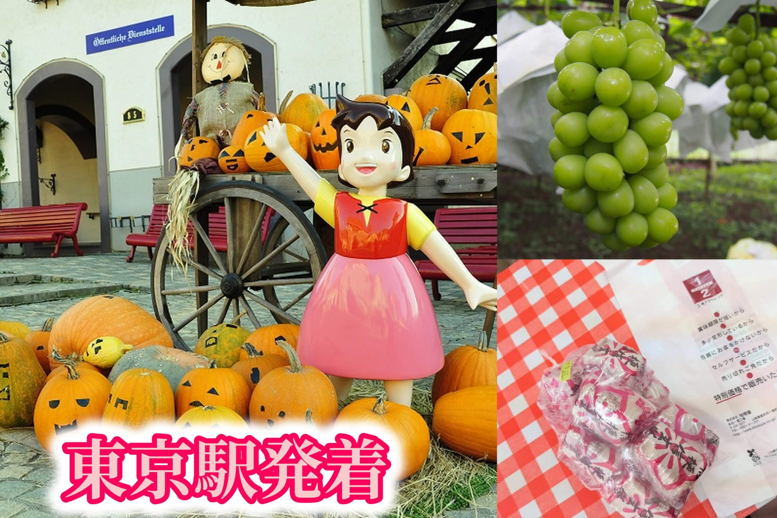 ＜東京駅発＞【山梨】Trick or Treat！秋の花咲く庭園『ハイジの村ハロウィン祭り』と高級品種『シャインマスカット』狩り園内食べ放題＆大人気！桔梗信玄餅の詰め放題♪