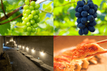 ＜第2弾＞ひんやりＳＮＳ映えスポット！遺跡探検「大谷資料館」へ！ダブル高級ぶどう★「シャインマスカット！ナガノパープル狩り食べ放題！」＆宇都宮餃子ランチ♪