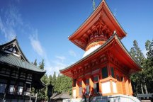 世界遺産 高野山 紅葉めぐり　JPNKYM90