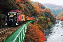 昼食付 京の秋 てんこもり 嵯峨野トロッコに乗る日帰りバスツアー 24256A