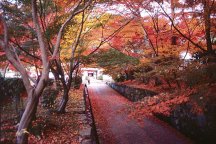食事なし 宇治散策と紅葉の名刹醍醐寺と三井寺へ行く日帰りバスツアー 24267A