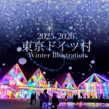 東京ドイツ村イルミネーション