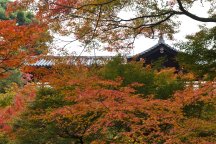 12/5発【北九州発】名門大洋フェリーで行く紅葉の古都・京都バス旅 日帰りプラン3日間
