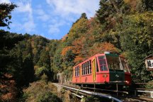 日帰り軽食弁当付Ｌｅｔ’ｓハイキング！紅葉に染まる坂本から比叡山延暦寺を歩こう　26562A