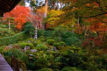 個人では人ではなかなか行けない京の奥座敷 京都大原三千院もみじ狩り&普段は決して立ち入れない神域へ平安神宮特別参拝!JPNOFM90