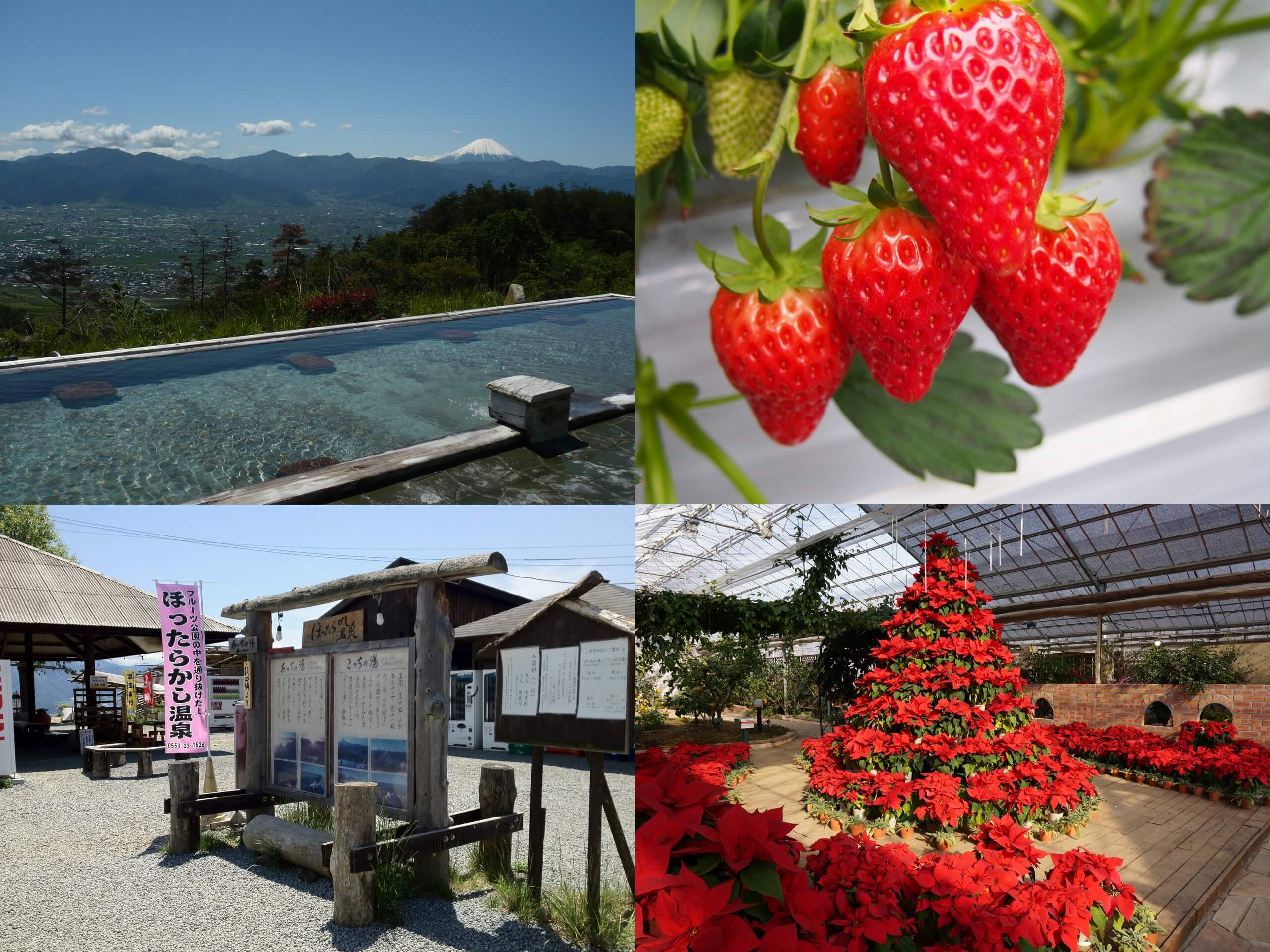 冬のほっこり“ととのい旅”♪絶景温泉＊ほったらかし温泉＆シーズン開幕！初物いちご狩り食べ放題《甲州ワインビーフ陶板焼き御膳ランチ付き》