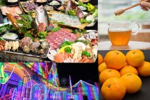 【千葉】王道!秋冬の房総ドライブ!不滅の人気【海鮮浜焼き食べ放題】&東京ドイツ村イルミネーション&みかん狩り食べ放題!はちみつの工房&崖観音♪