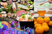 【千葉】王道!秋冬の房総ドライブ!不滅の人気【海鮮浜焼き食べ放題】&東京ドイツ村イルミネーション&みかん狩り食べ放題!はちみつの工房&崖観音♪