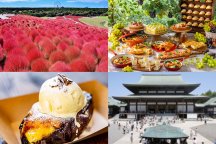 <見頃予想発表!>ごちそうざかりの秋旅へ★コキアカーニバル「国営ひたち海浜公園」×季節のホテルランチビュッフェ!【焼き芋ブリュレ作り体験】嬉しい秋の味覚デザートタイムまで♪