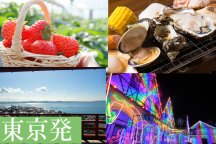 <東京発>【千葉】房総ゴールデンコンビ!海鮮浜焼き食べ放題&いちご狩り食べ放題!感動・絶景・SNS映え!東京ドイツ村イルミネーション♪