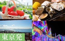 ＜東京発＞【千葉】房総ゴールデンコンビ！海鮮浜焼き食べ放題＆いちご狩り食べ放題！感動・絶景・ＳＮＳ映え！東京ドイツ村イルミネーション♪