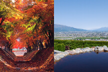 紅葉と絶景温泉のW美景!紅葉の名所「河口湖もみじ回廊」&絶景の露天風呂「みはらしの丘 みたまの湯」♪さらに!大人気「桔梗信玄餅詰め放題」も!
