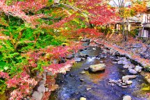 この時期見たい絶景!紅葉とイルミネーション!修善寺温泉街散策&550万球のキラメキ!御殿場時之栖イルミネーション『ひかりのすみか』秋の定番グルメ!浜焼き食べ放題とみかんお土産