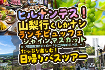 《2025年10月8日・22日(水)日本テレビ|ヒルナンデス!で放送されました!》山梨行くしかナシ!絶景「フジヤマテラス」で贅沢ランチビュッフェ&シャインマスカット狩り食べ放題♪ハーブ庭園散策に新スポット「小江戸甲府花小路」へ!