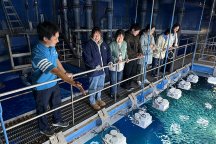 スペシャルバックヤードツアー★アクアワールド茨城県大洗水族館「バックヤード探検クイズツアー」＆宙に浮かぶ！？空中いちご園でいちご狩り食べ放題♪