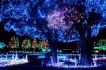 【千葉】<土日祝日限定出発>2大テーマパーク!マザー牧場イルミネーション&鴨川シーワールド&はちみつ工房