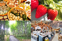 ゆったり出発！冬の美味を満喫！「浜焼き食べ放題」×「いちご狩り食べ放題」＆静寂に包まれる修善寺温泉街をのんびり散策♪