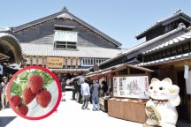 【食事なし】お伊勢参りといちご狩りへ行く日帰りバスツアー　24295A