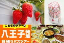 <八王子発>ハイジの村でスイス&甲州郷土料理ビュッフェ♪旬のいちご狩り園内食べ放題&大人気『桔梗信玄餅の詰め放題』!