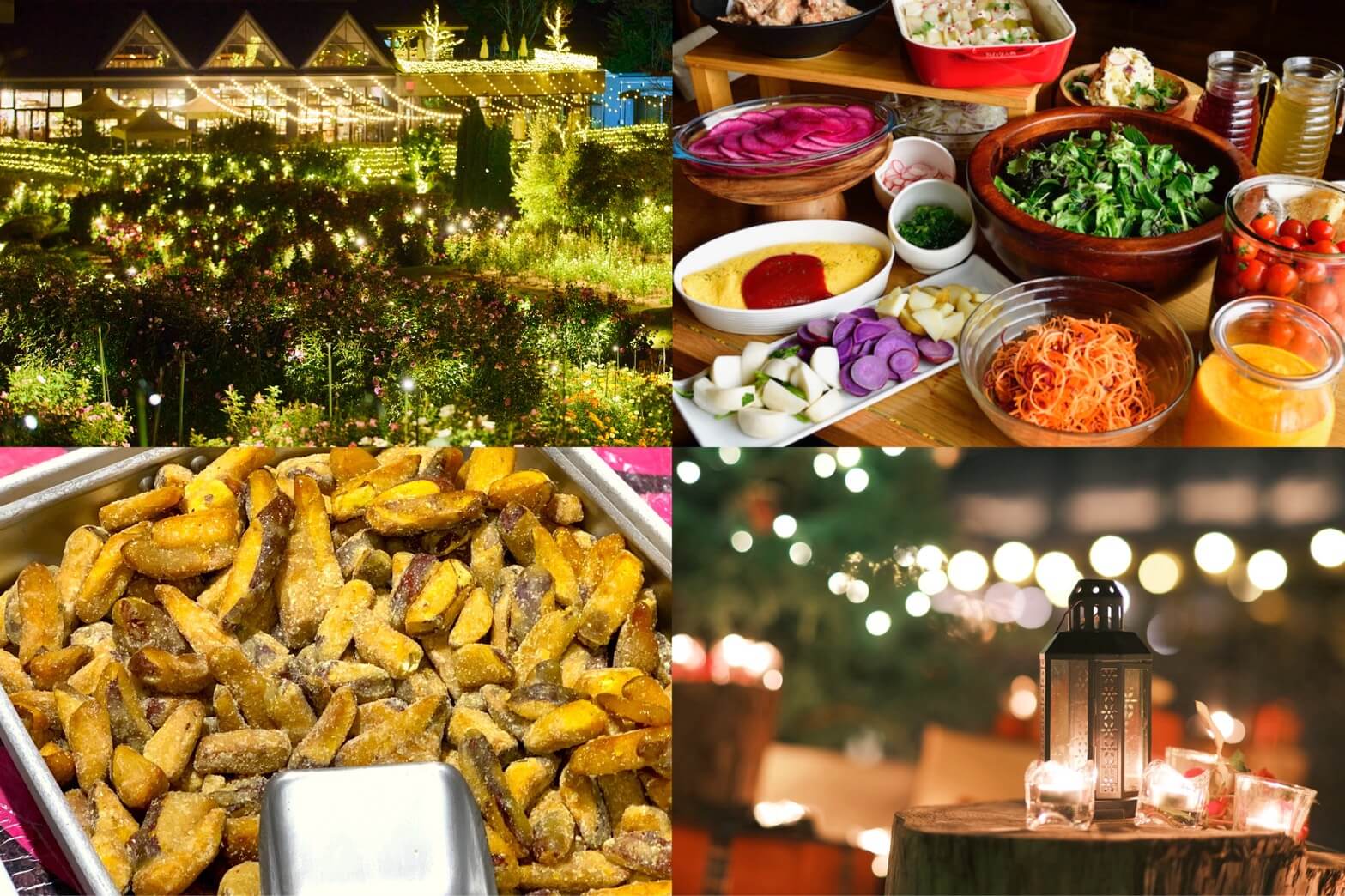 一面が煌めく絶景★らぽっぽなめがたファーマーズヴィレッジで大学芋詰め放題&いばらきフラワーパーク「Moonlight Rose Garden」&地元で大人気のビュッフェランチ♪