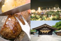 輝く冬旅★いばらきフラワーパーク「Moonlight Rose Garden」&縁結びの常陸国出雲大社&絶品!黒毛和牛「俵ハンバーグ」ランチ&北関東最大級!道の駅でお買い物♪