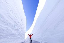 名古屋発 立山黒部の室堂 雪の大谷ウォーク 天むす弁当付き 日帰りバスツアー