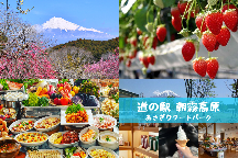 早春の香りに包まれて♪梅と富士の競演〈岩本山公園〉&地産地消グルメ!ビュッフェレストランで食べ放題&いちご狩り食べ放題!あさぎりフードパーク&道の駅朝霧高原でお買い物♪