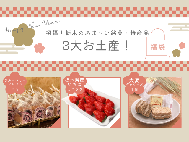 新春とっておきの旅!超人気店ベーカリー「ペニーレイン」でパン食べ放題付!ハンバーグランチ&いちご1パック♪人気のお土産付き♪&あしかがフラワーパーク「光の花の庭」イルミネーション