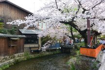 岐阜名古屋発ゆっくり出発自由食だからお値打ちプラン春うららカメラを持って出かけたい京都祇園散策と可憐な桜を見に行く日帰りバスツアー市バスや地下鉄の乗り場の待ち時間もなくラクラク移動できるバスの旅!