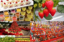 <新コース>【山梨】ときめき満開☆ 早春スイーツ旅♪ 初登場いちごショートケーキ+デザート&いちご狩り W食べ放題 × 圧巻のひな飾り × 春色ガーデンさんぽ