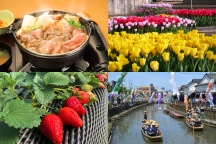 《2026年1月7日（水）日本テレビ｜ヒルナンデス！で放送された類似コース！》まるごと栃木！＜第2弾＞とちぎ和牛すき焼き＆カラフルなチューリップ畑「あしかがフラワーパーク」＆いちご狩り食べ放題＆小江戸を満喫「蔵の街」を散策★