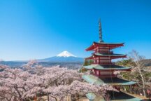 桜咲く山梨へ!「新倉山浅間公園」にて桜鑑賞♪「恵林寺」参拝にいちご狩り食べ放題!豆乳鍋ほうとうのご昼食♪