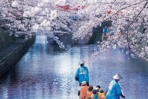 水の都おおがき舟下りお花見と近江牛鉄板焼きステーキランチ付へ行く日帰りバスツアー24366A